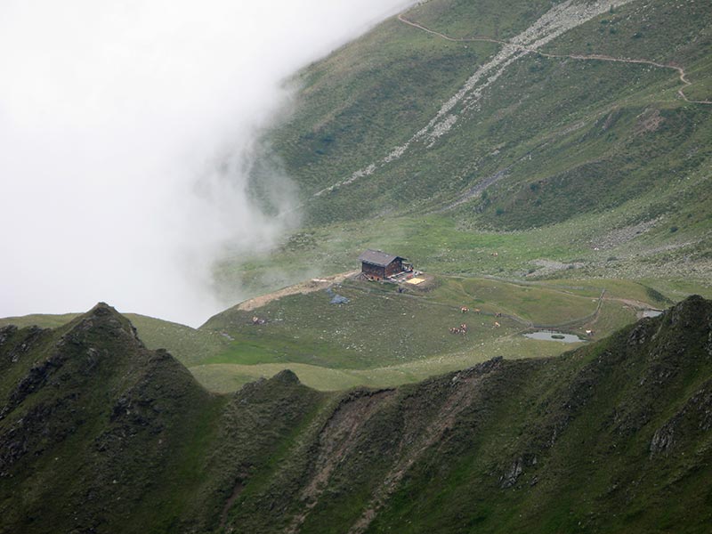 donnerstein